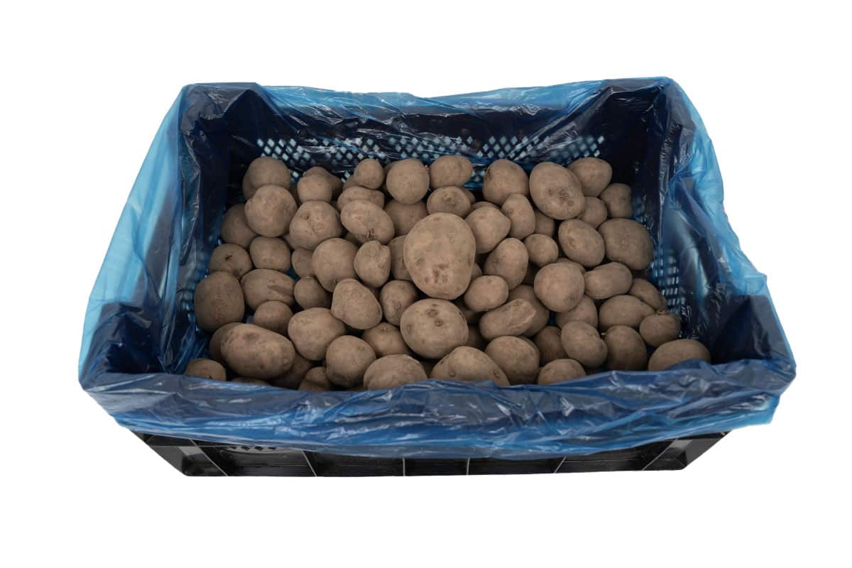  HDPE Einlegesäcke Seitenfaltensäcke blau - 68 x 17/17 x 63cm x 20my (500 stück)